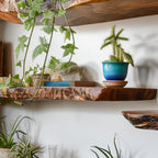 Live Edge Shelf Wall Mounted Shelf, solid wood, built to order