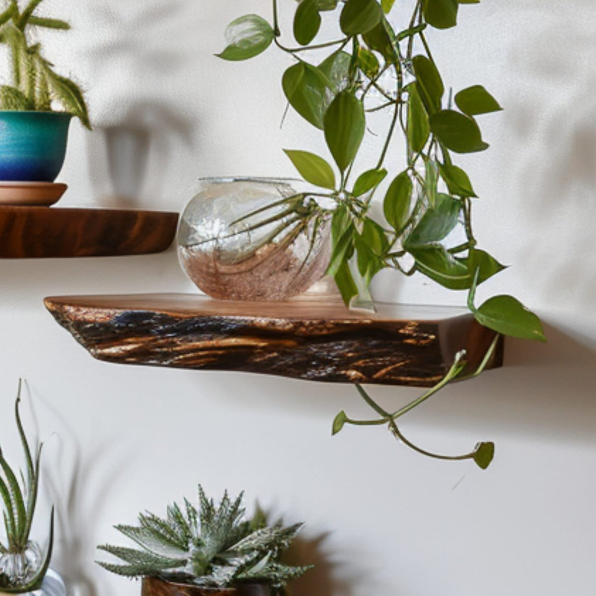Live Edge Shelf Wall Mounted Shelf, solid wood, built to order