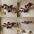 Solid Mounted Floating Shelf