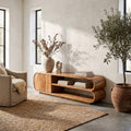 Low Profile TV Cabinet