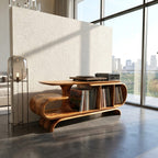 Organic Wave Record Stand