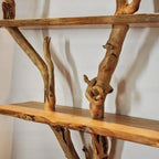Artistic Wild Mulberry Tree Bookshelf, solid wood, built to order
