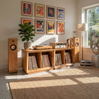 Contemporary Storage Record Stand