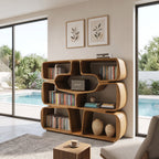 Sculptural Curves Bookshelf