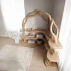Organic Frame Bookshelf