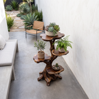 Sculptural Sunroom Plant Stand - solid wood plant stand, view 2