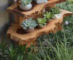Garden Shelf Plant Stand