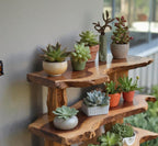 Garden Shelf Plant Stand