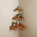 Storage Walls Floating Shelf