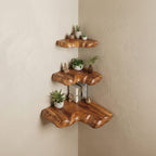 Storage Walls Floating Shelf