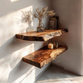 Storage Reading Floating Shelf