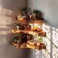 Floating Solid Organizer Wall Shelf