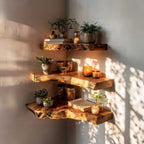 Floating Solid Organizer Wall Shelf