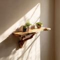 Solid Storage Organizer Floating Shelf