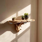Mounted Storage Floating Shelf