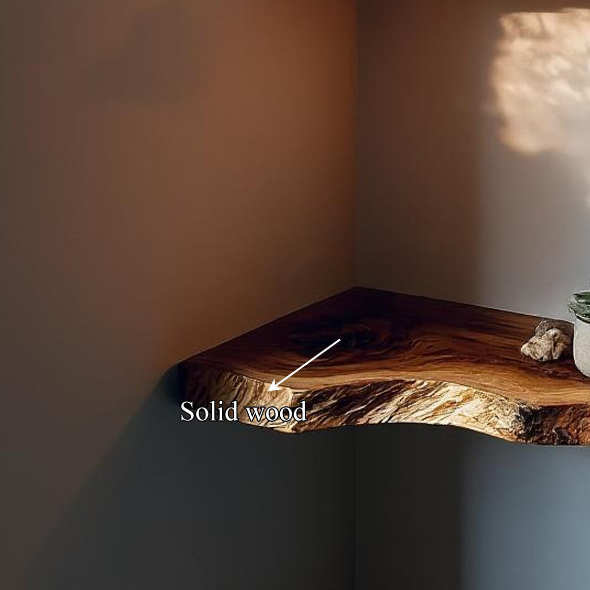 Floating Solid Organizer Bookshelf