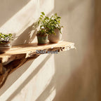Solid Display Floating Shelf