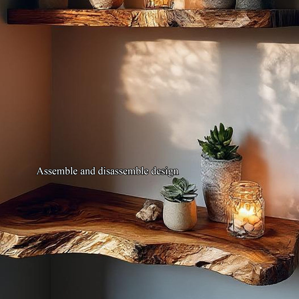 Floating Solid Organizer Bookshelf