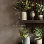 Modern Plant Wall Shelf