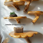 Modern Gothic Mid Century Floating Shelf