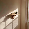 Mounted Storage Floating Shelf