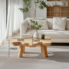 Mid Century Low Retro Coffee Table
