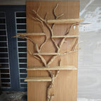 Elegant Wild Mulberry Tree Bookshelf Floating Shelves Live Edge, solid wood, built to order