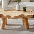 Mid Century Low Retro Coffee Table