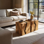 Low Center Modern Coffee Table