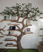 Handcrafted Tree Bookshelf Living Room Interior Sculptural Wall Display, solid wood, built to order