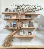 Organic Floating Tree Bookshelf
