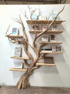 Sculptural Space-saving Bookshelf