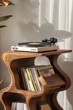 Storage Retro Record Stand