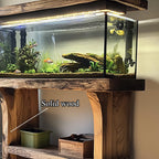 Customized Solid Fish Shelf Office Decor Housewarming Gifts, solid wood, built to order